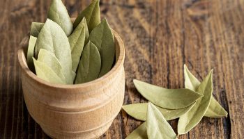 Perché mescolare foglie di alloro e bicarbonato di sodio e a cosa serve
