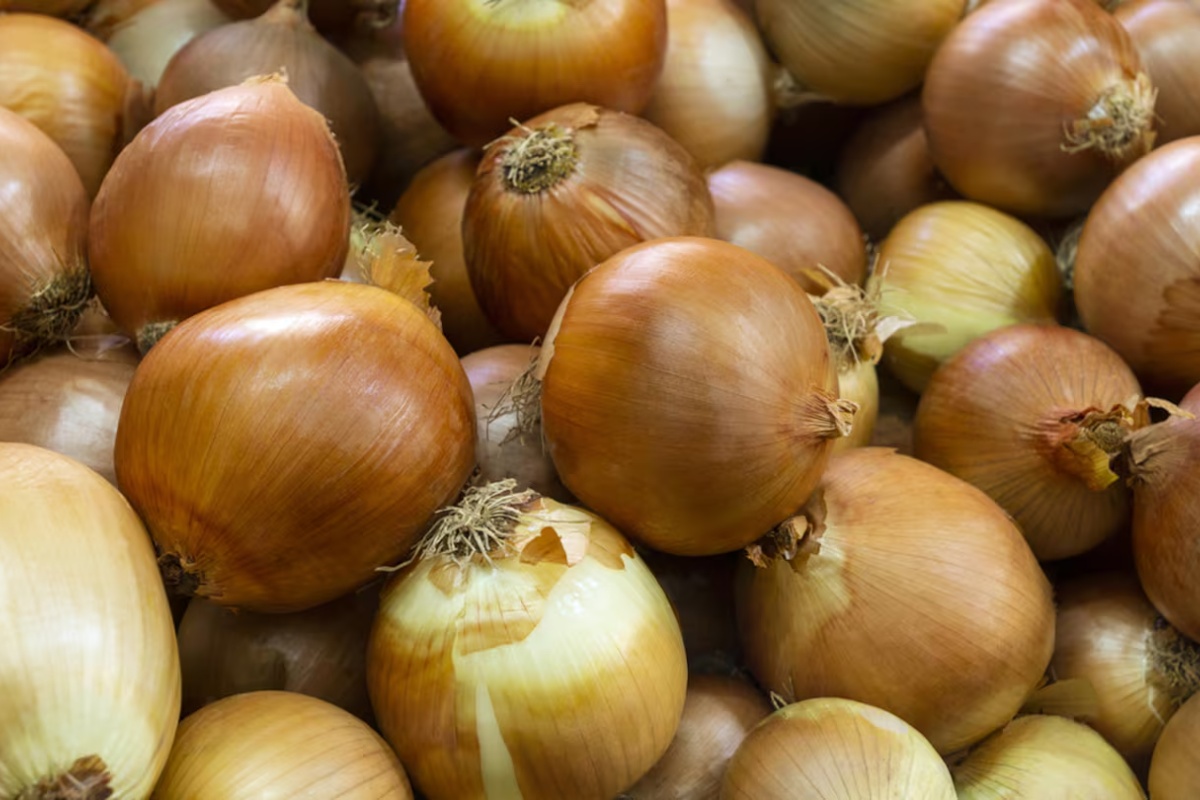 Trljanje luka o kućne rešetke: Otkrijte zašto ovaj trik preporučuju stručnjaci za čišćenje detail 1