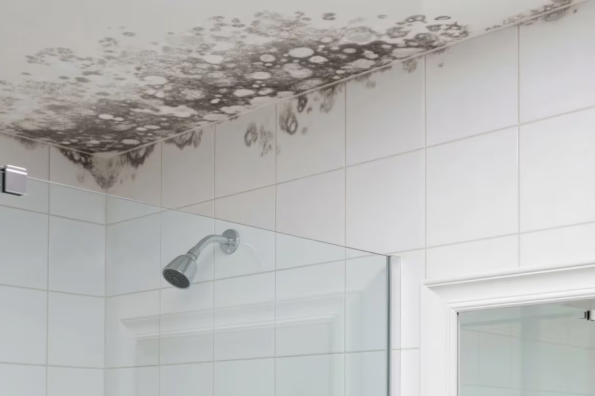 Arhitekt preporučuje prskanje zidova octom: Evo čemu to zapravo služi detail 1