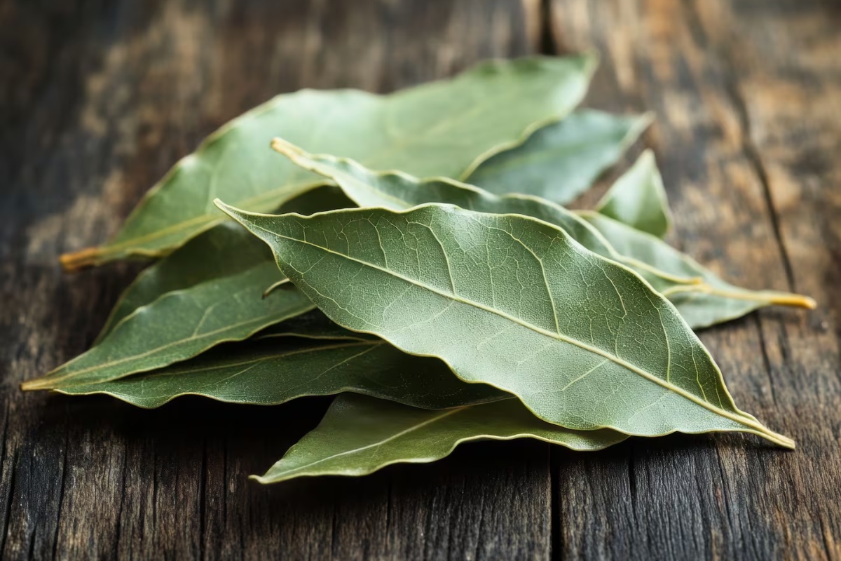 Stavljanje listića lovora na ulaz u kuću: čemu služi i zašto se preporučuje detail 1