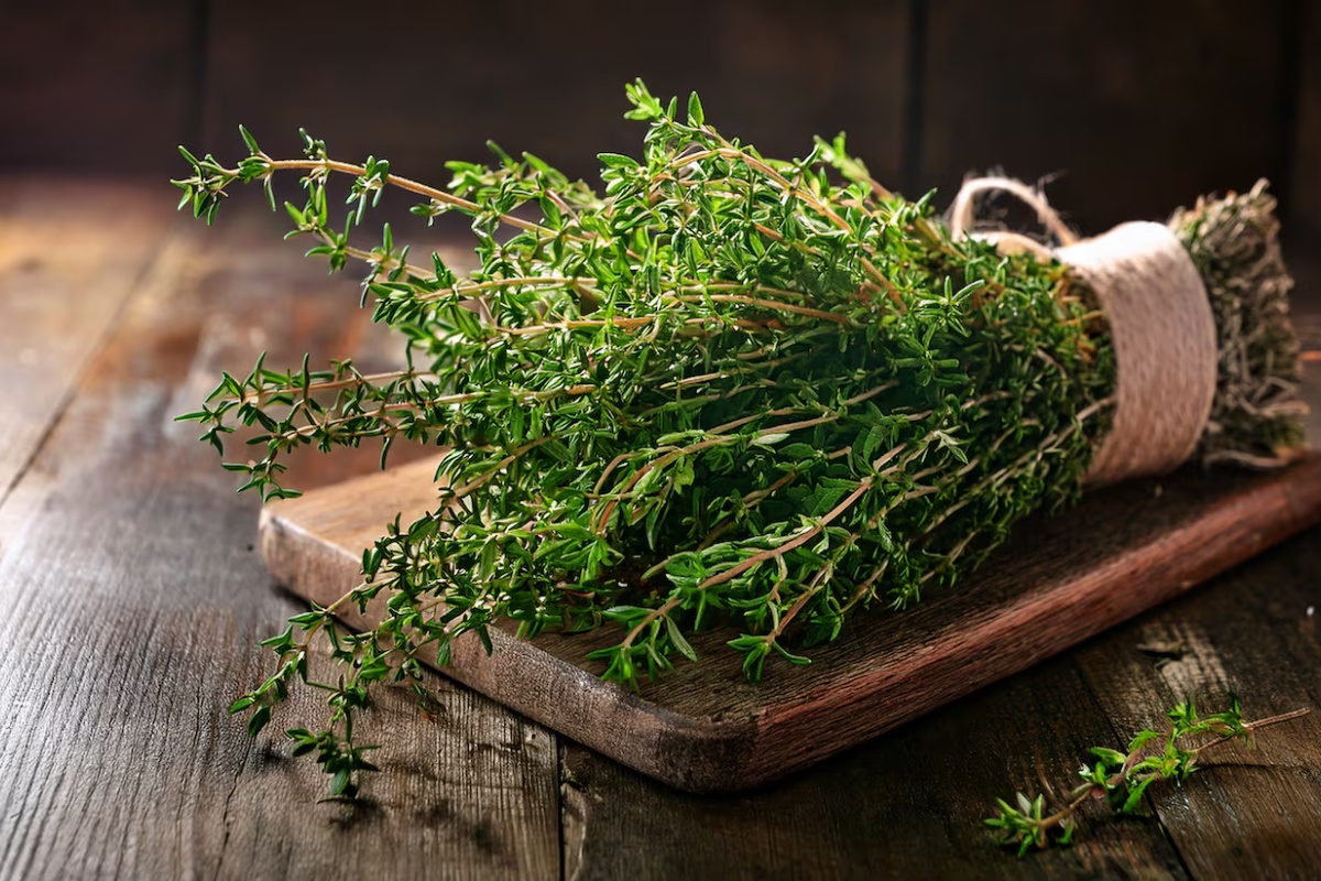 Kuhanje timijana kod kuće: zašto se preporučuje i čemu služi detail 1