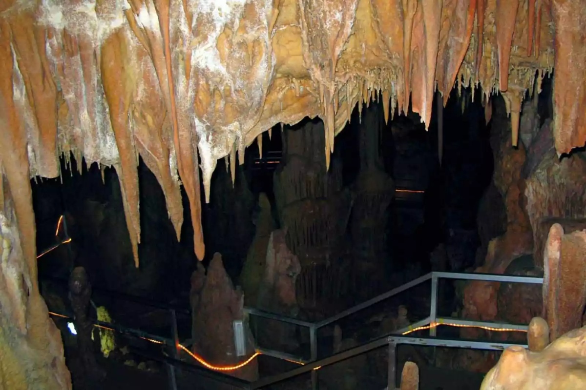 U Grčkoj je pronađena 300.000 godina stara lubanja koja nije ni ljudska ni neandertalska. detail 1