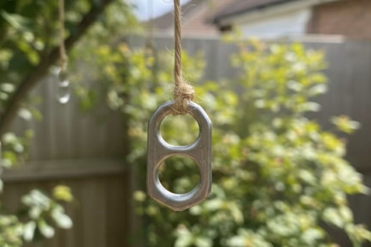 Malo tko to zna: zašto se preporučuje vješanje poklopaca od limenki u vrtu kod kuće detail 1