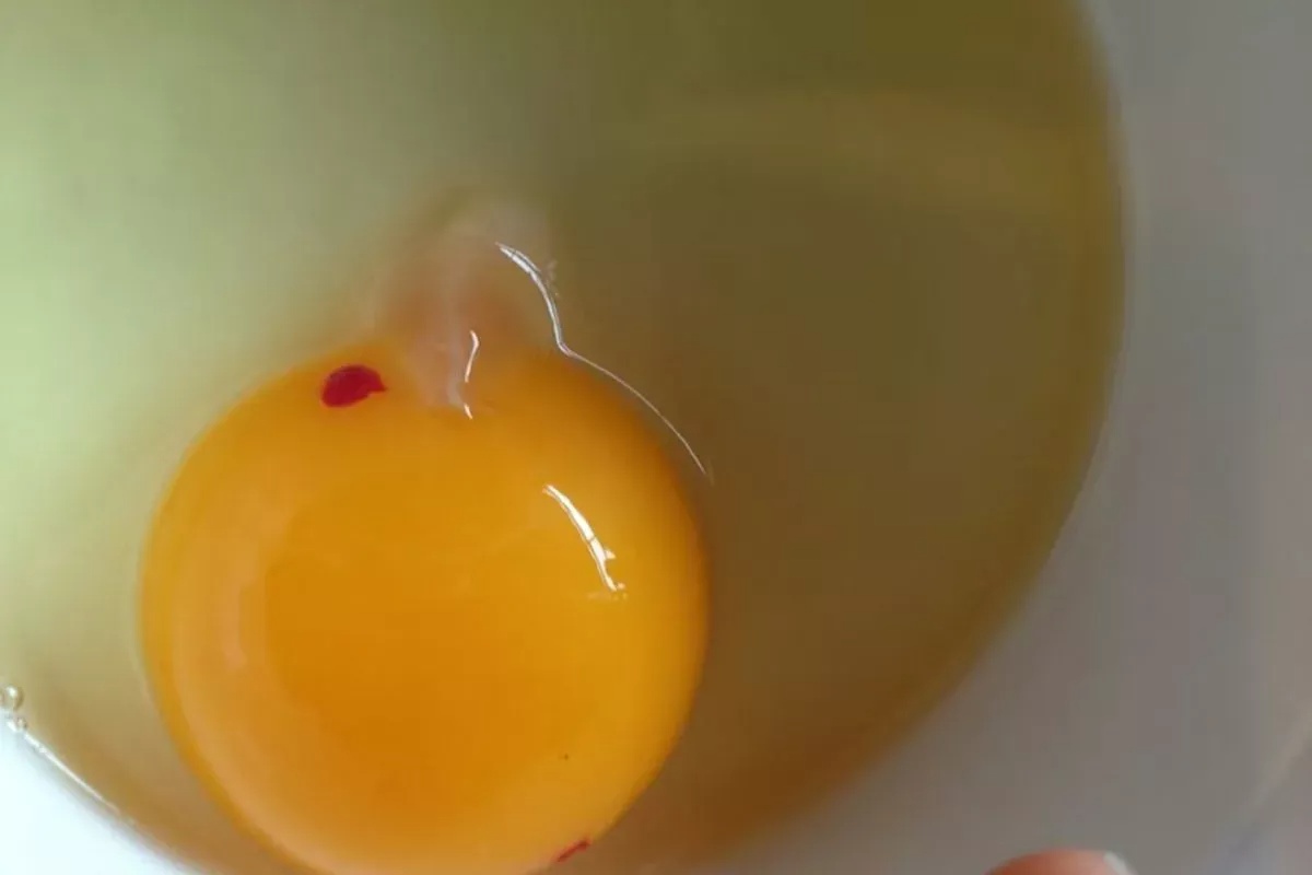 Crvena mrlja na jajetu. Gotovo nitko ne zna što to znači i je li sigurno jesti jaje. detail 1