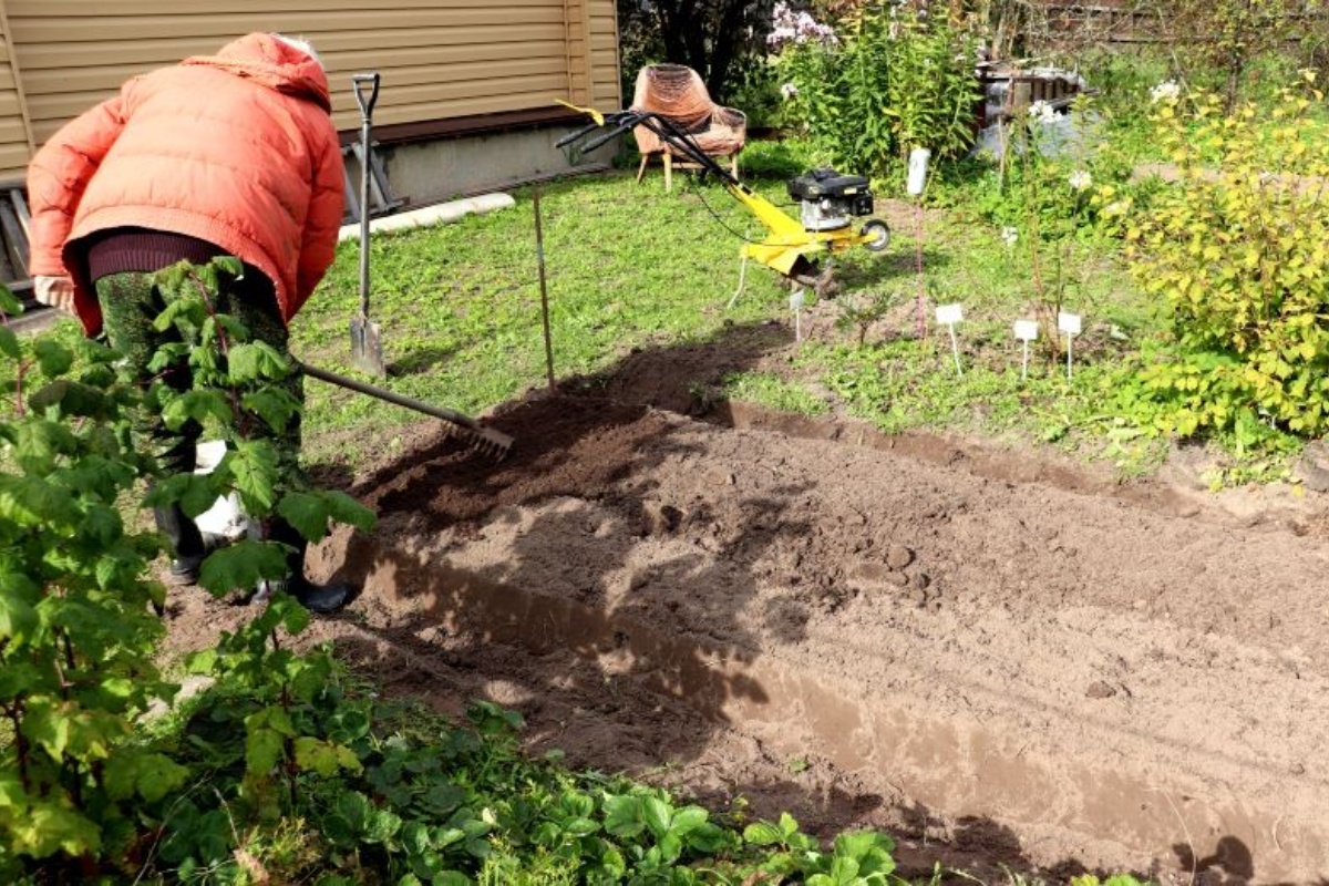 Načini korištenja pepela od peleta u vrtu. Kako ga primijeniti da ne naštetite biljkama? detail 1