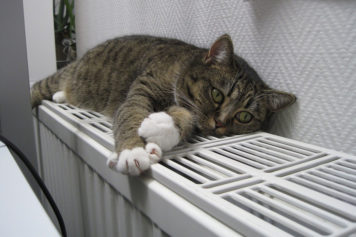 Milijuni diljem Europe žive u hladnim domovima: Gdje energetsko siromaštvo najteže pogađa detail 1