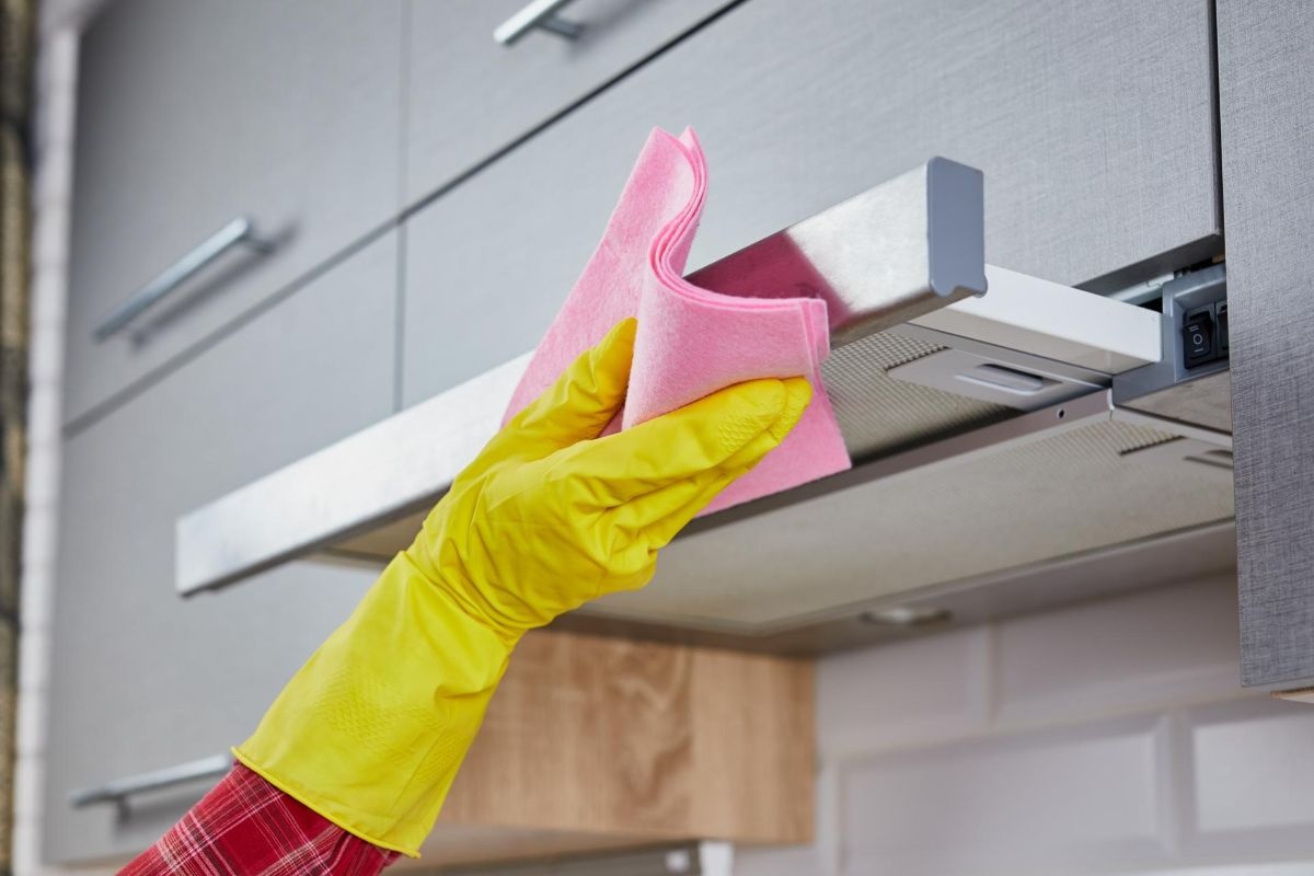 Mješavina iskorištenih limuna s alkoholom i sodom bikarbonom: čemu služi i zašto se preporučuje detail 1