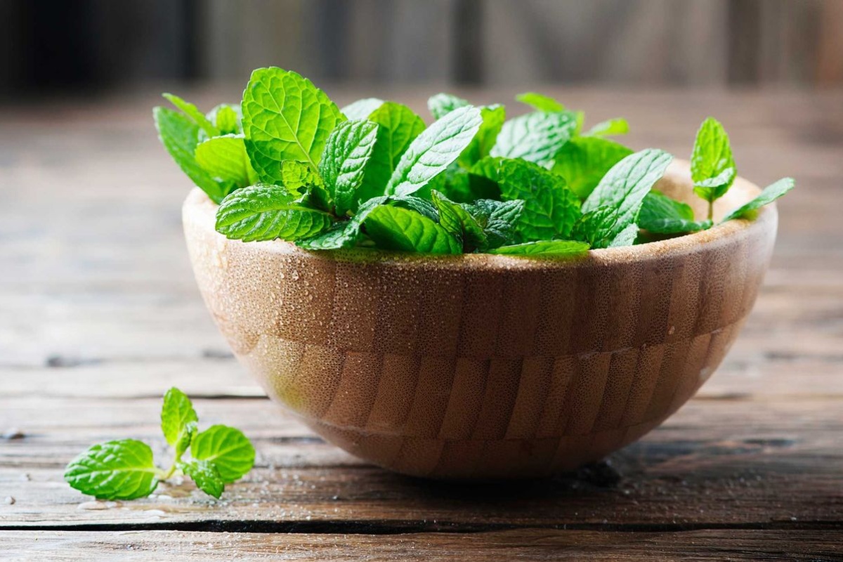 Stavljanje listova metvice na ulaz u kuću: čemu služi i zašto se preporučuje detail 1