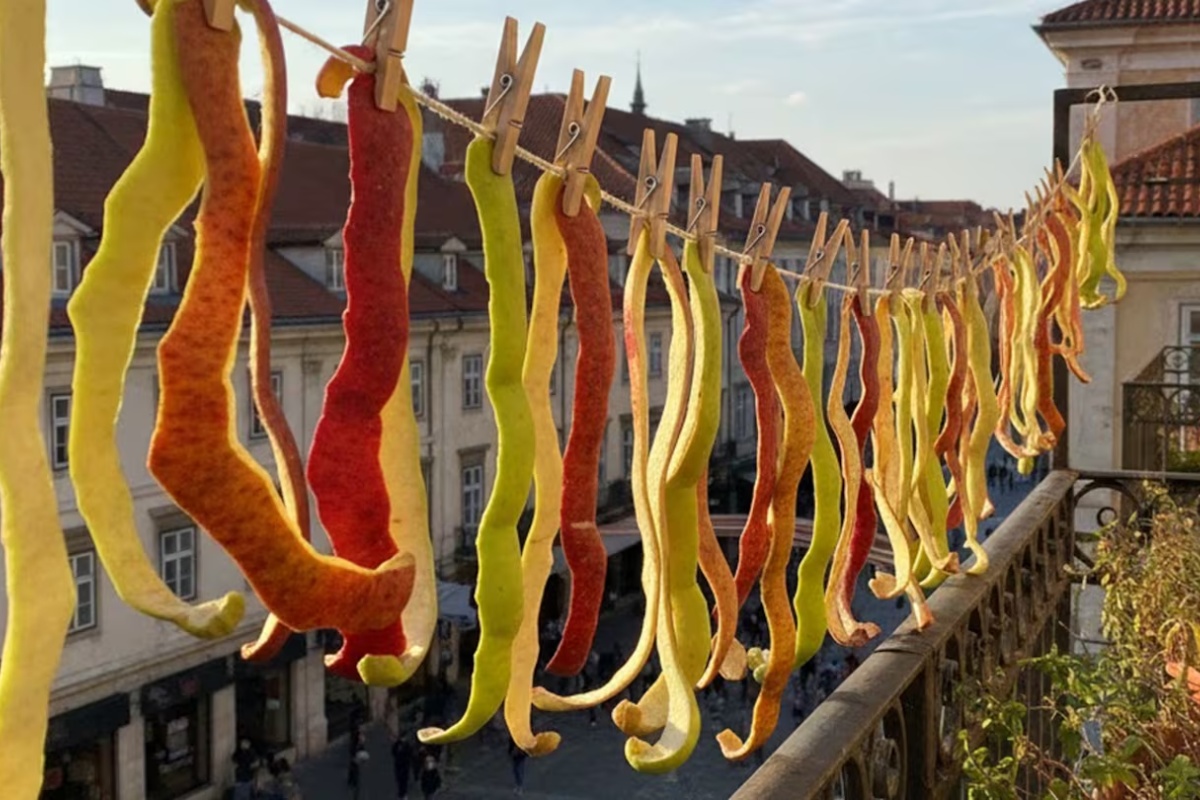 Vješanje kora od jabuke na balkon: zašto se preporučuje to učiniti i čemu služi detail 1