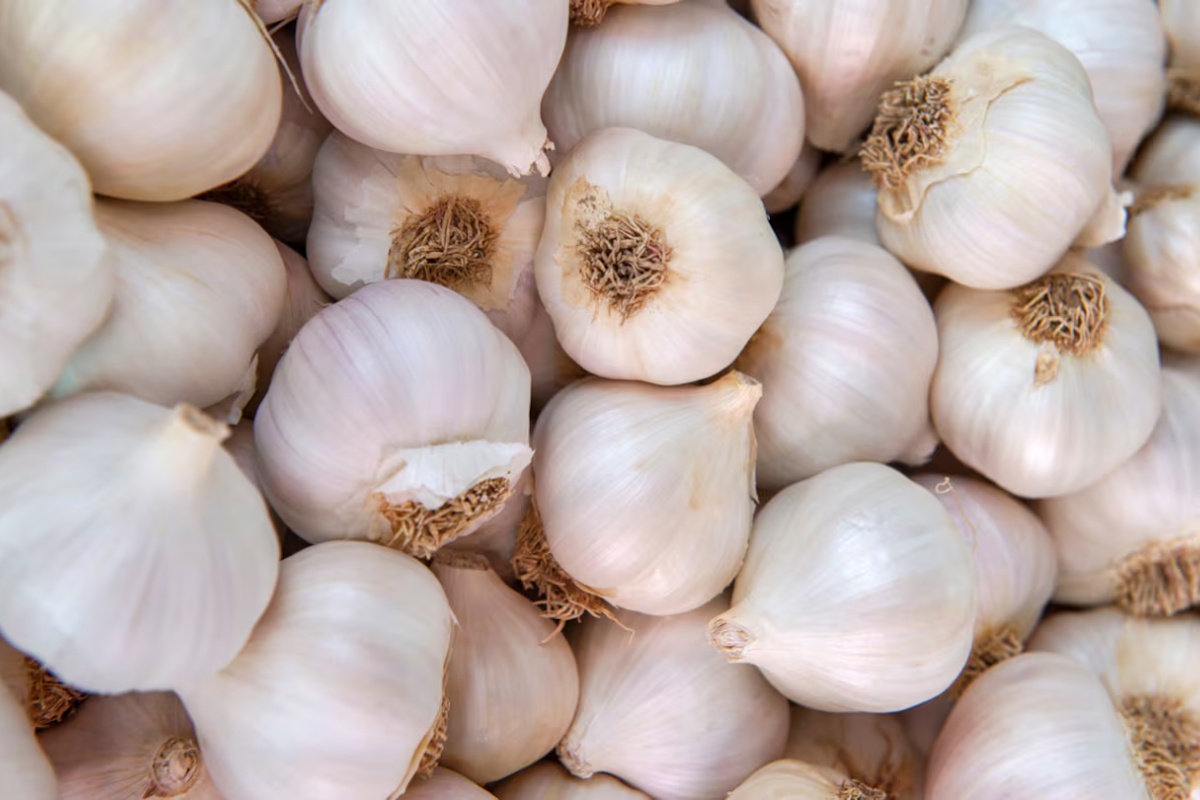 Recite zbogom komarcima: Povrće koje ih tjera iz vašeg doma u nekoliko minuta detail 1