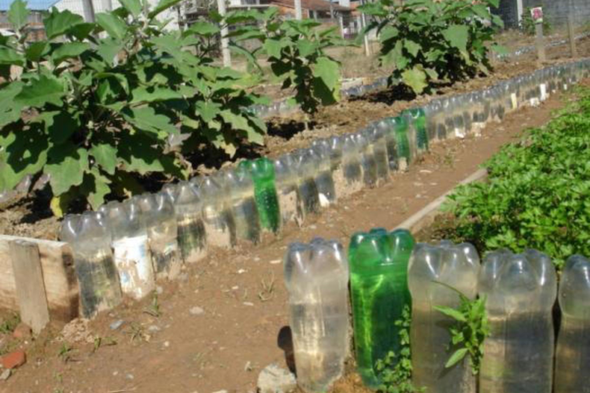 Malo ljudi zna zašto se preporučuje postavljanje plastične boce izrezane naopako u vrt. detail 1