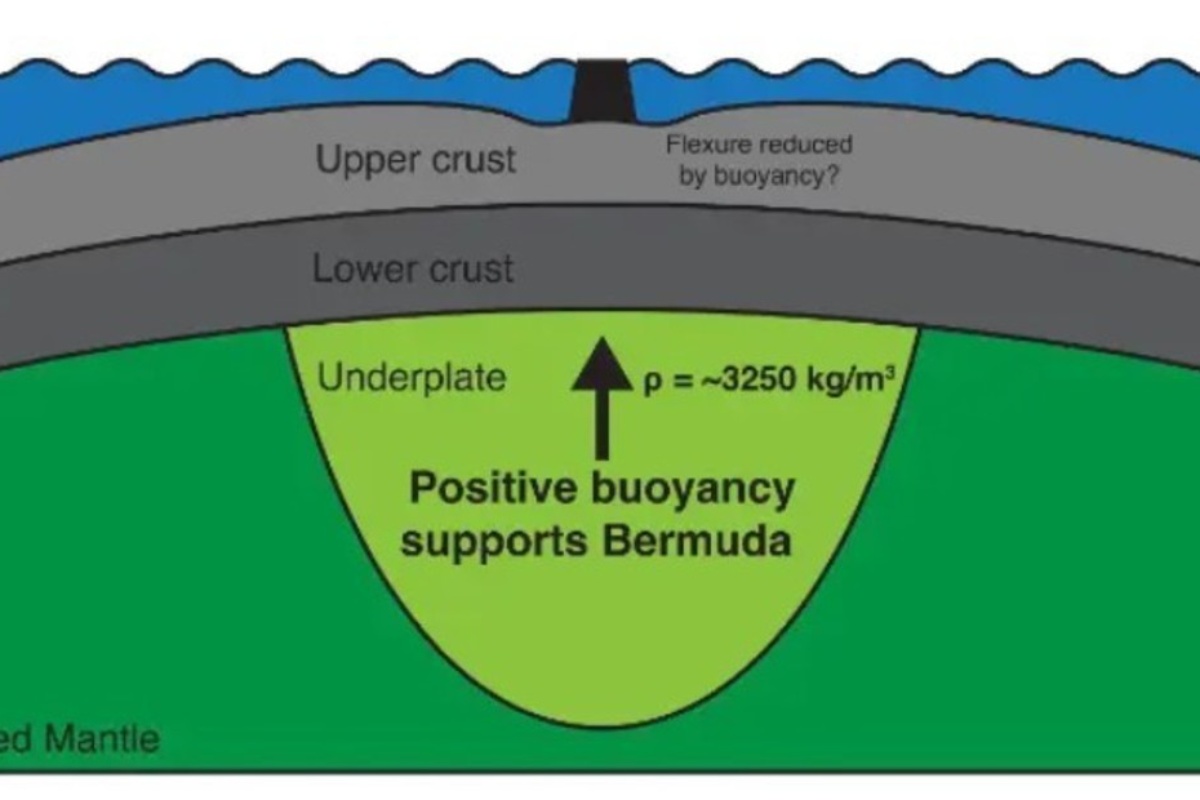 Bermudski trokut: pronašli misterioznu divovsku strukturu koja 'ne nalikuje ničemu drugom na Zemlji' detail 1