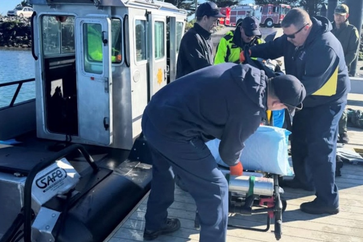 Morski pas je napao surfera na plaži u Kaliforniji: odbio je primiti liječničku pomoć detail 1