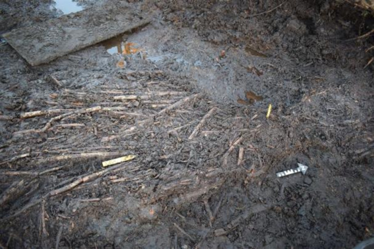 Snažan pas pokopan prije 5.000 godina u švedskom jezeru uz bodež od 25 centimetara izrađen od kosti losa ili jelena detail 1