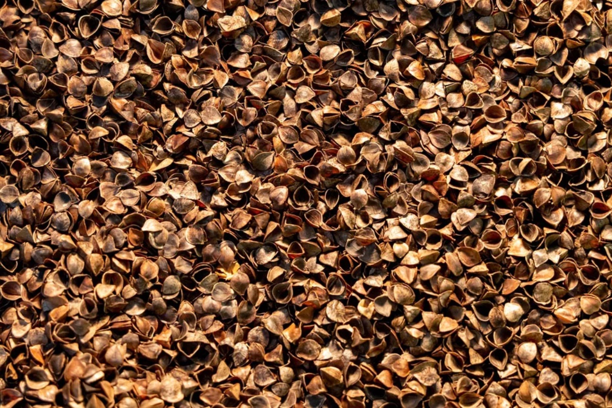 Ovo je gorivo i do 30% jeftinije od peleta, a ipak se može koristiti naizmjenično u istom kotlu detail 1