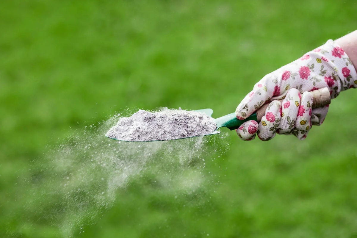 Ovo domaće gnojivo je pravo blago, osim ako ga ne pospete pod krive biljke detail 1