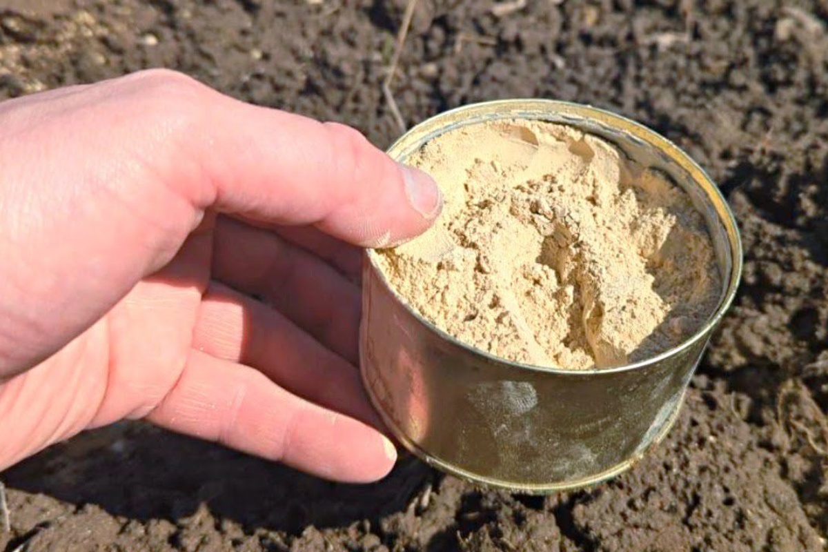 1 pakiranje ove žitarice zamjenjuje 3 kamiona gnoja: rasipam je izravno po snijegu – i zemlja je odmah meka kao pahulja detail 1