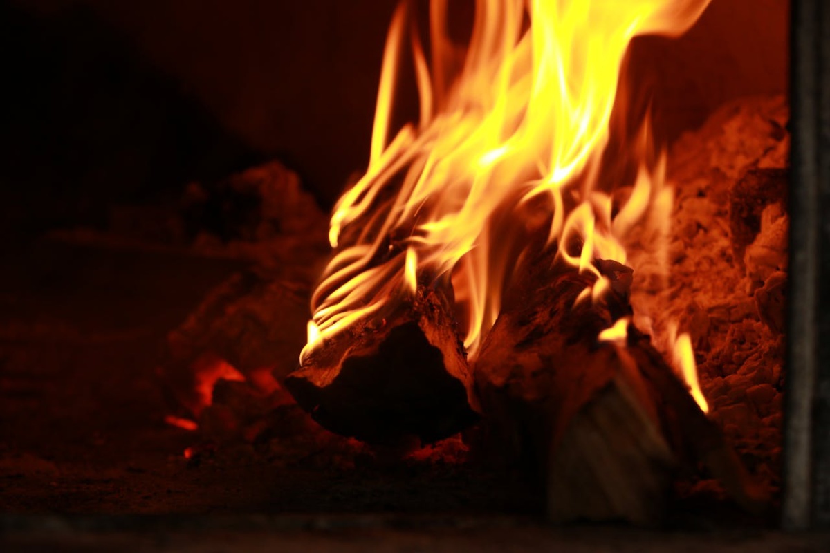 Nisu sva drva jednako dobra za grijanje: 3 vrste koje griju dvostruko dulje – moj otac sa sela je to provjerio detail 1