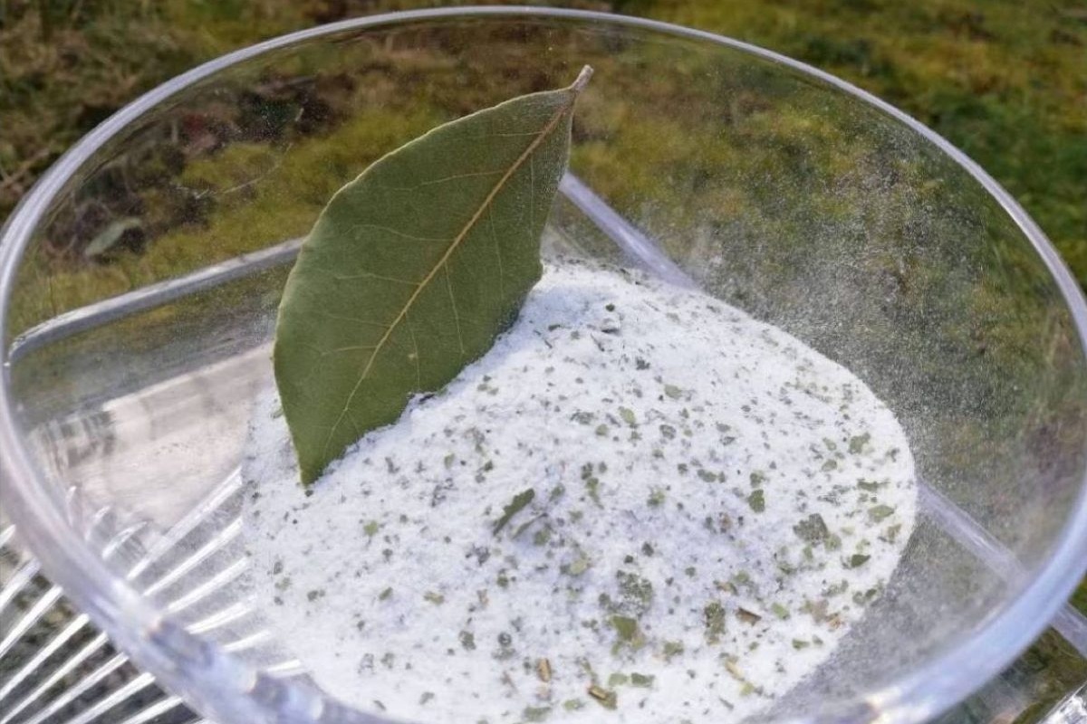 Miješanje lovorovog lišća i sode bikarbone: čemu služi i zašto se preporučuje detail 1