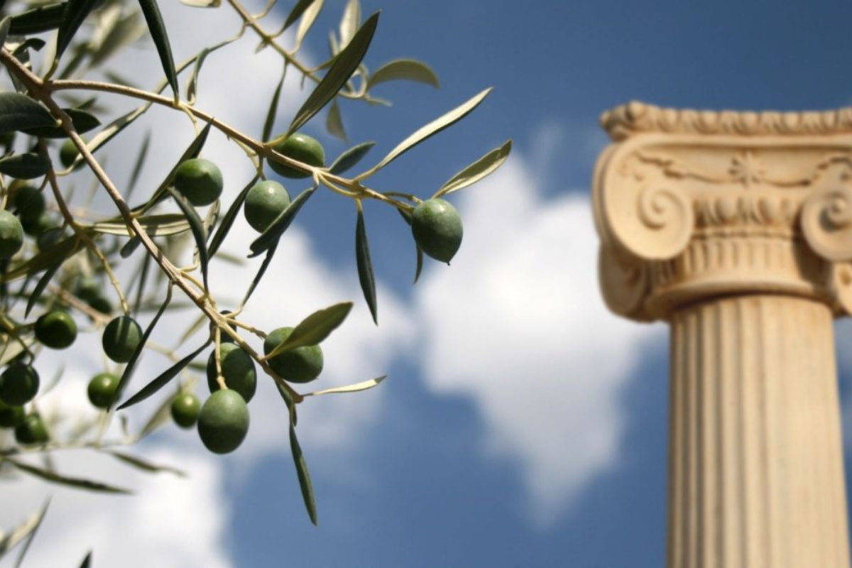 Ako jedete masline, ne bacajte koštice: zašto se preporučuje da ih sačuvate detail 1