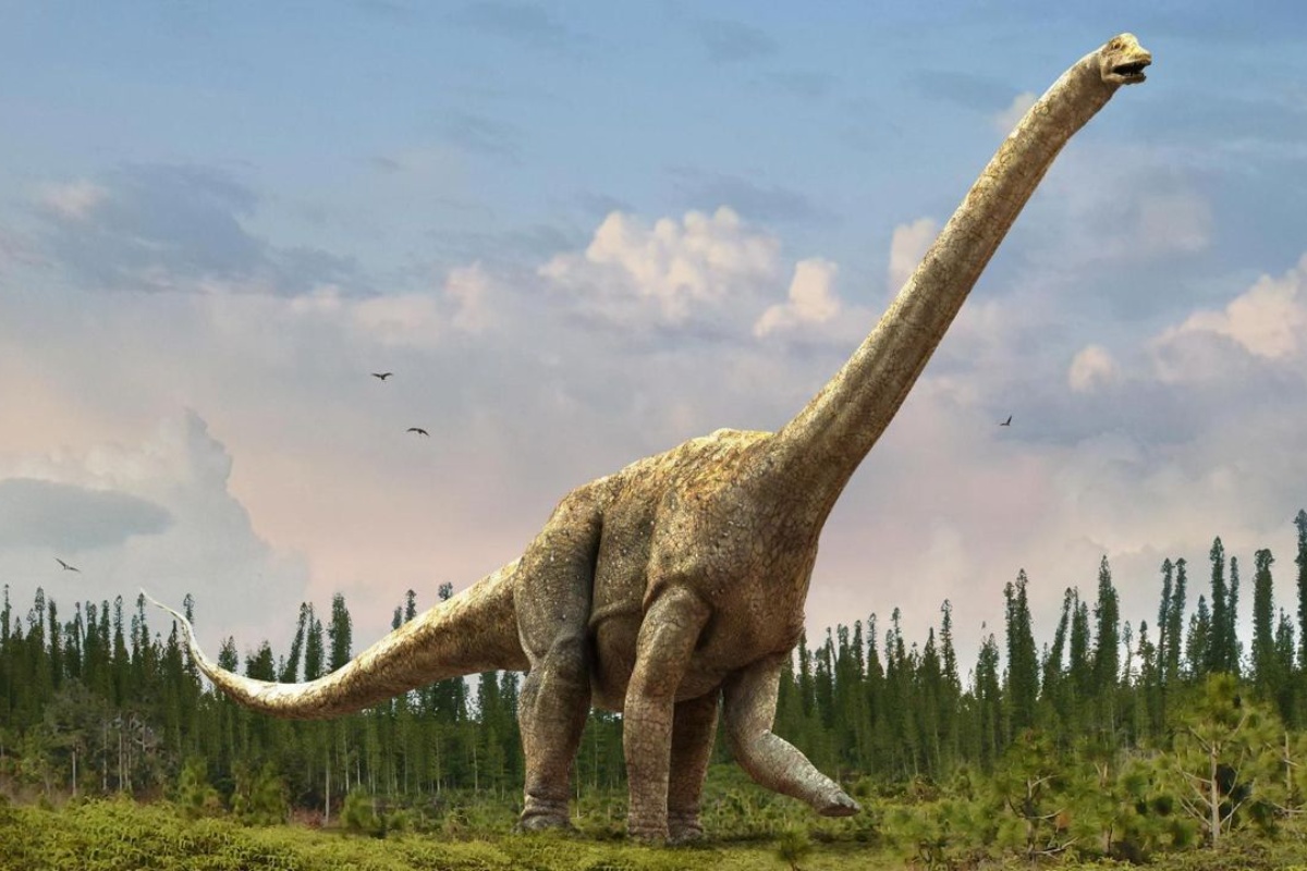 Arheolozi ne mogu vjerovati: Pronađena su jaja dinosaura stara 72 milijuna godina detail 1