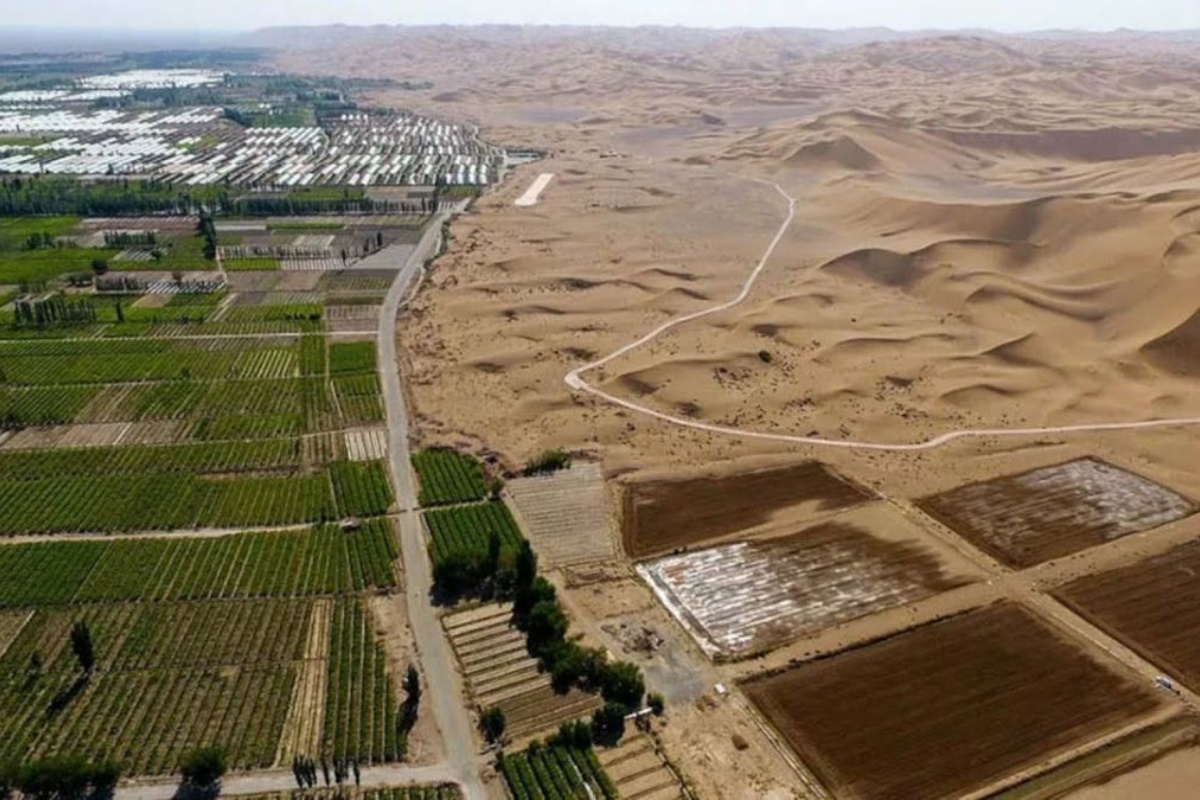 Kina probija barijeru i obara svjetski rekord: Stvara umjetnu šumu površine 93 000 hektara u pustinji detail 1
