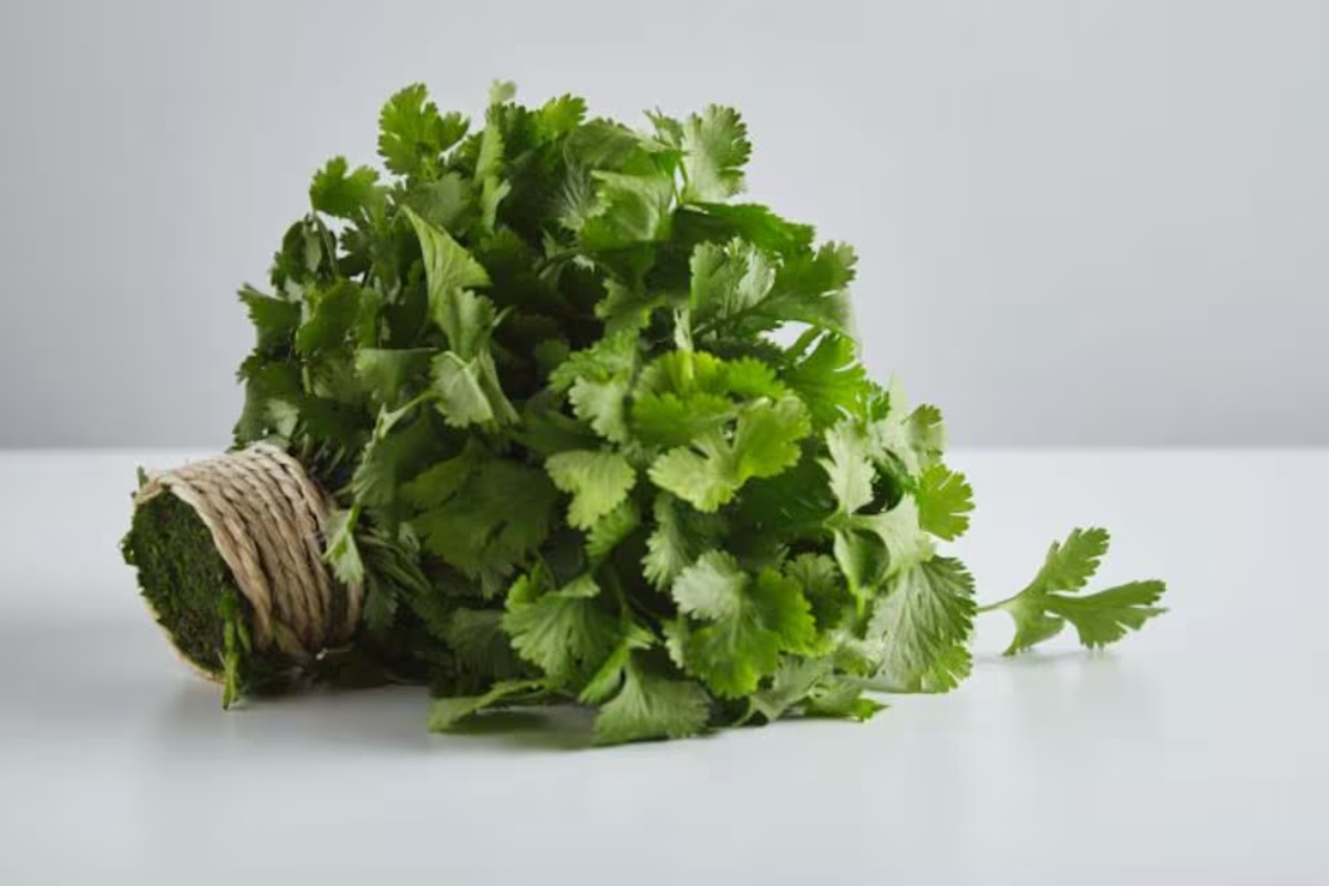 Ljekovita biljka s analgetskim djelovanjem koja ublažava sve bolove i tegobe bez lijekova detail 1