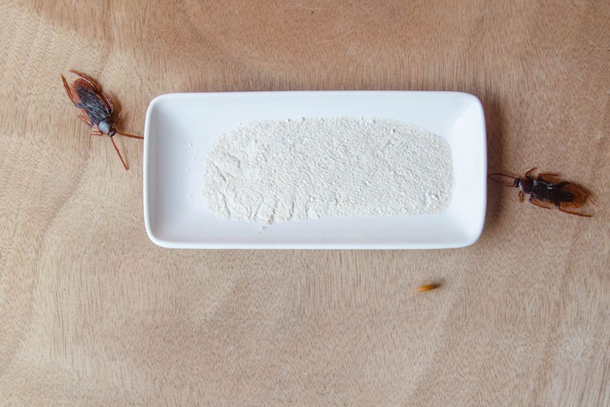 Miješanje sode bikarbone i šećera: Zašto je ovaj jednostavan trik postao spas za mnoga kućanstva detail 1