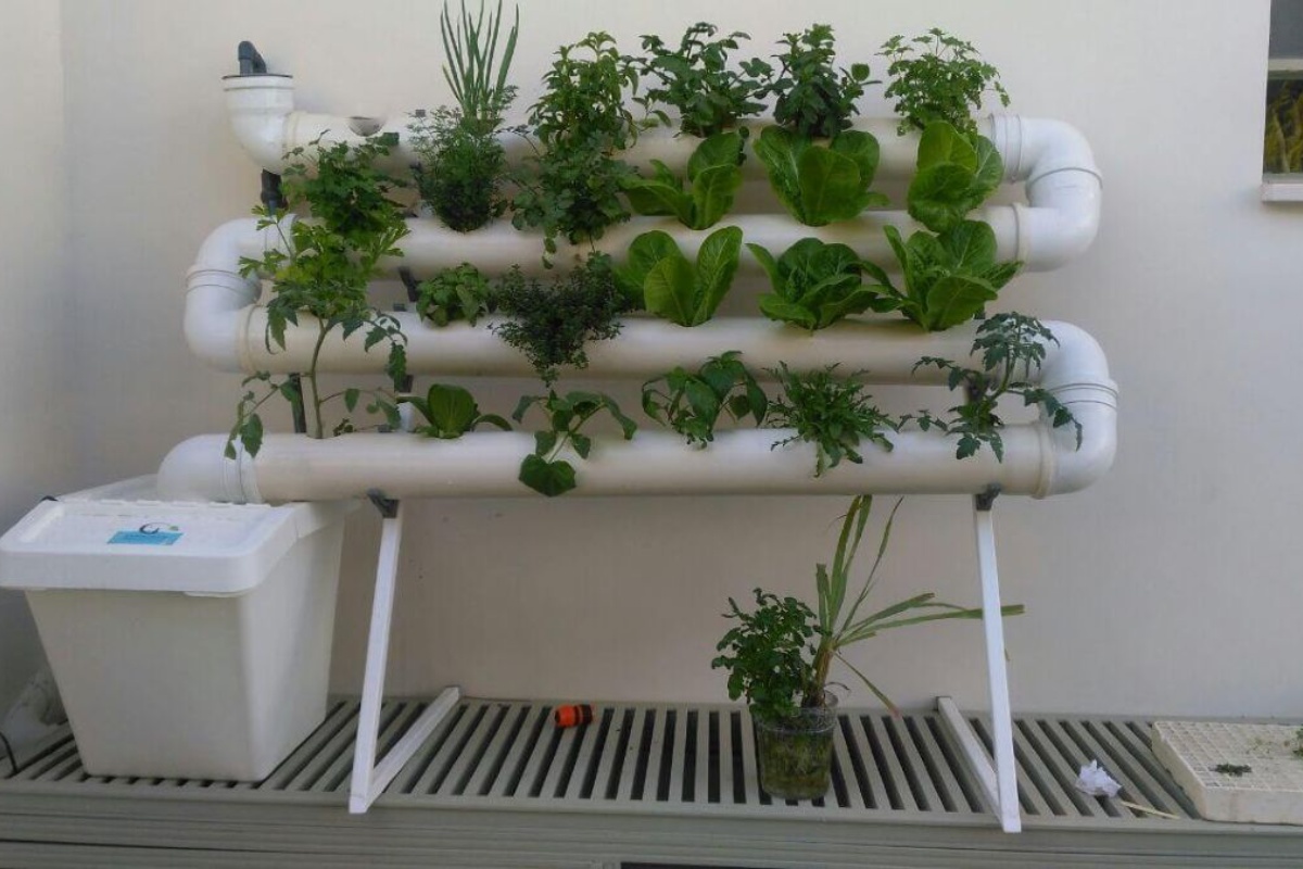 Bez zemlje i na balkonu: Najlakši način za postavljanje vrta u malom prostoru prema stručnjacima detail 1