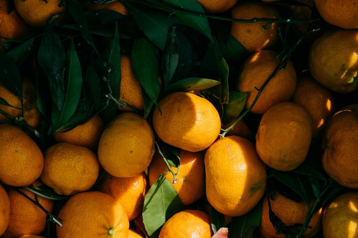 Prije Nove godine biram mandarine prema jednom znaku na kori: slatke su u 9 od 10 slučajeva, i bez koštica detail 1