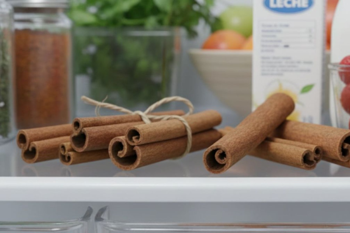 Stavljanje štapića cimeta u hladnjak: Čemu služi i koje su prednosti detail 1