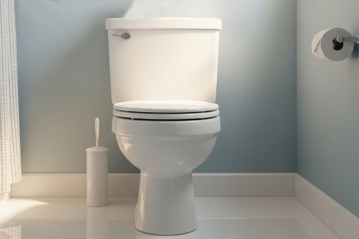 Stavite češnjak u WC školjku: čemu služi i zašto preporučuju da to učinite detail 1