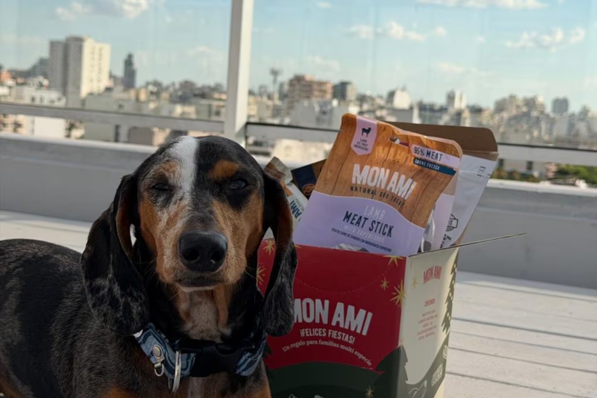 Dizajnirali su božićne kutije za pse i mačke i pravi su hit: koliko koštaju detail 1