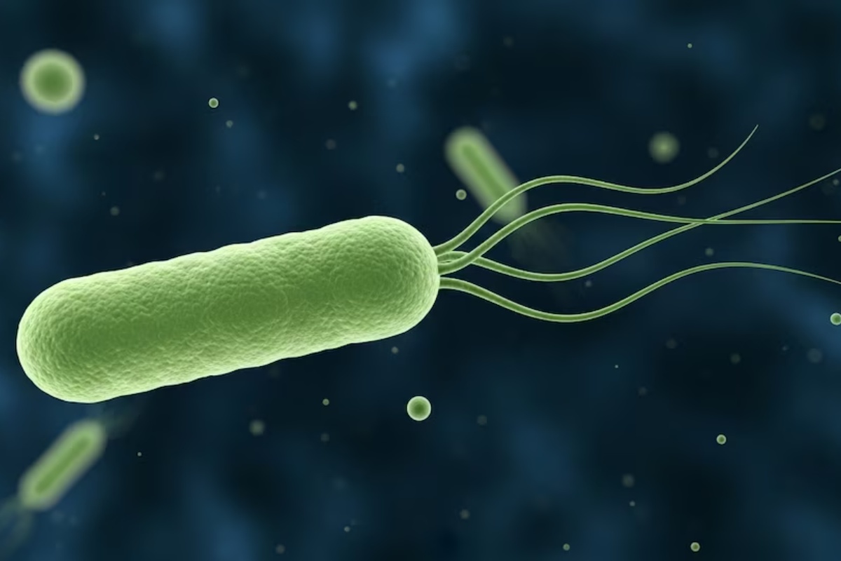 Kako spriječiti trovanje hranom tijekom blagdana: ključne preporuke zbog vrućina detail 1