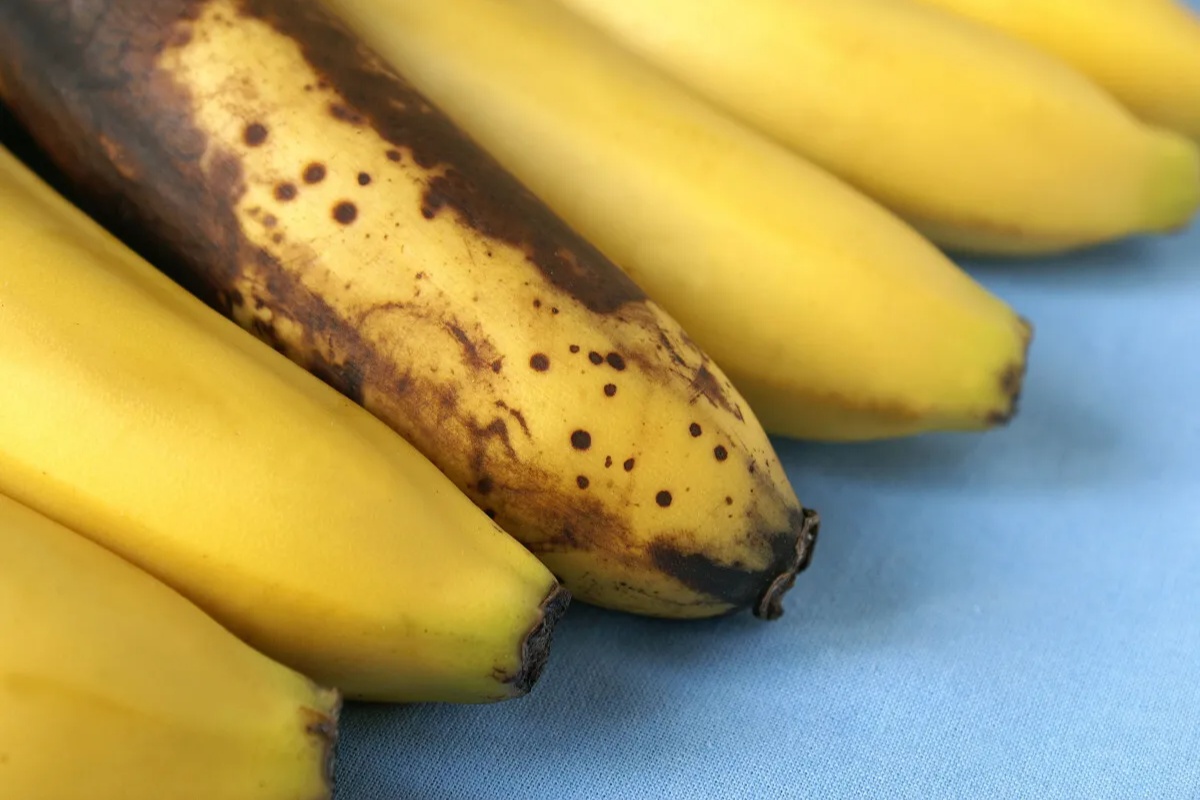 Pripazite na ove banane. Ne smiju se jesti, postoji rizik od trovanja gljivicom detail 1