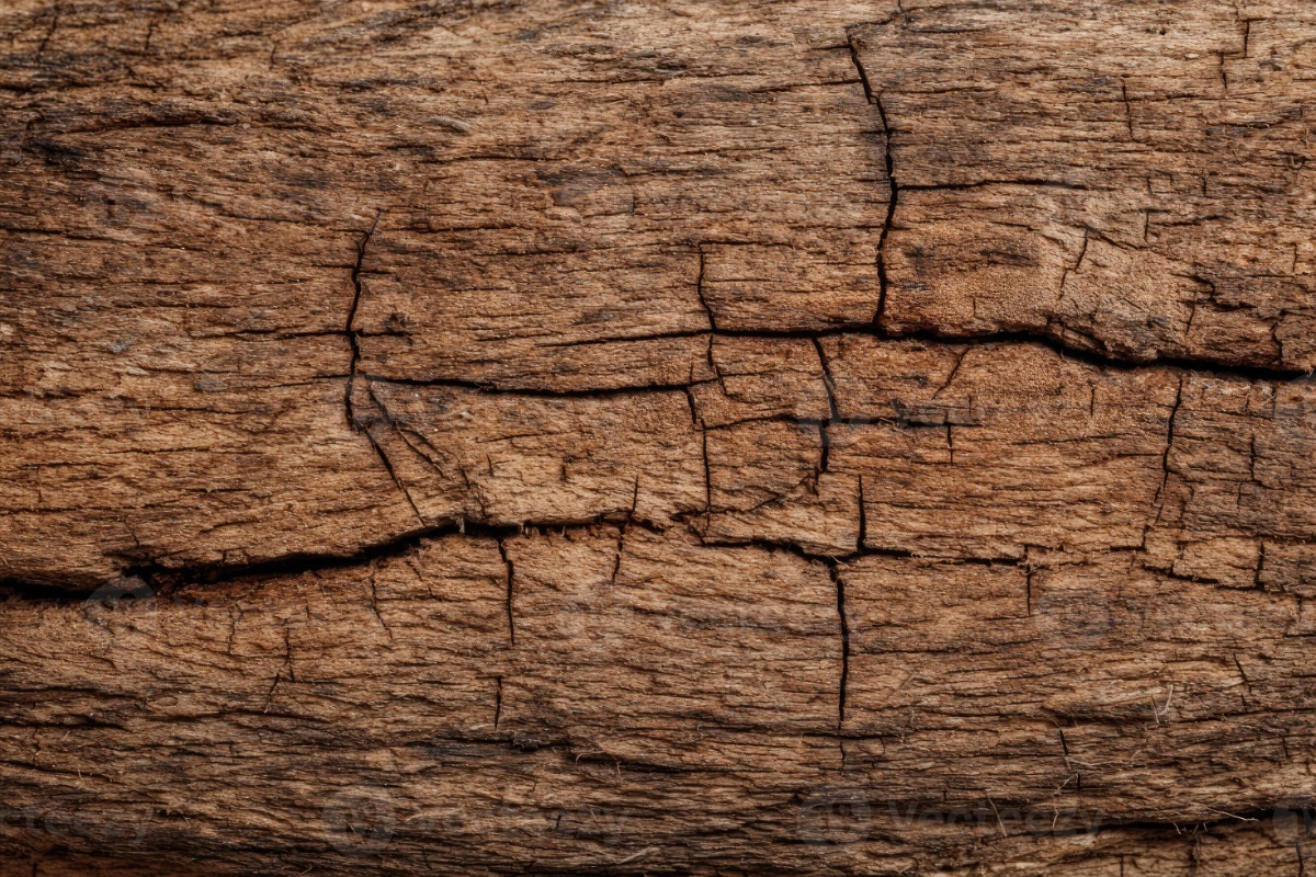 Koliko godina se može čuvati drvo za ogrjev? Odgovor iznenađuje mnoge vlasnike kuća detail 1