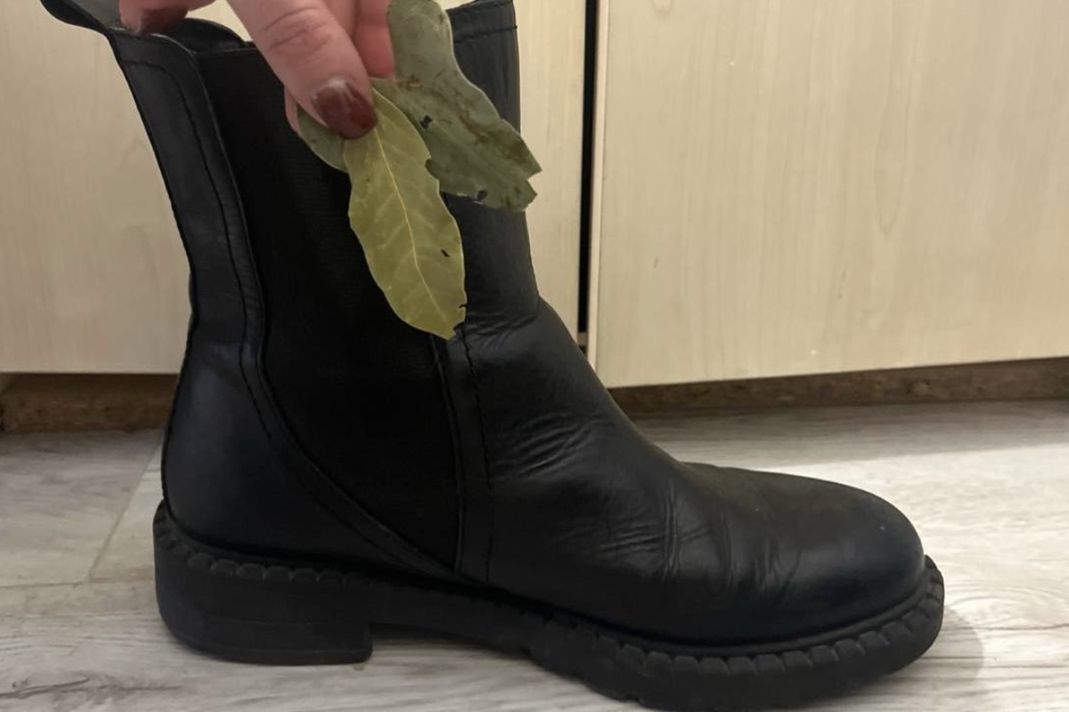 Stavljam lovorov list ne samo na radijator: još jedno mjesto daje učinak o kojem malo tko zna. Nije praznovjerje, već trik detail 1