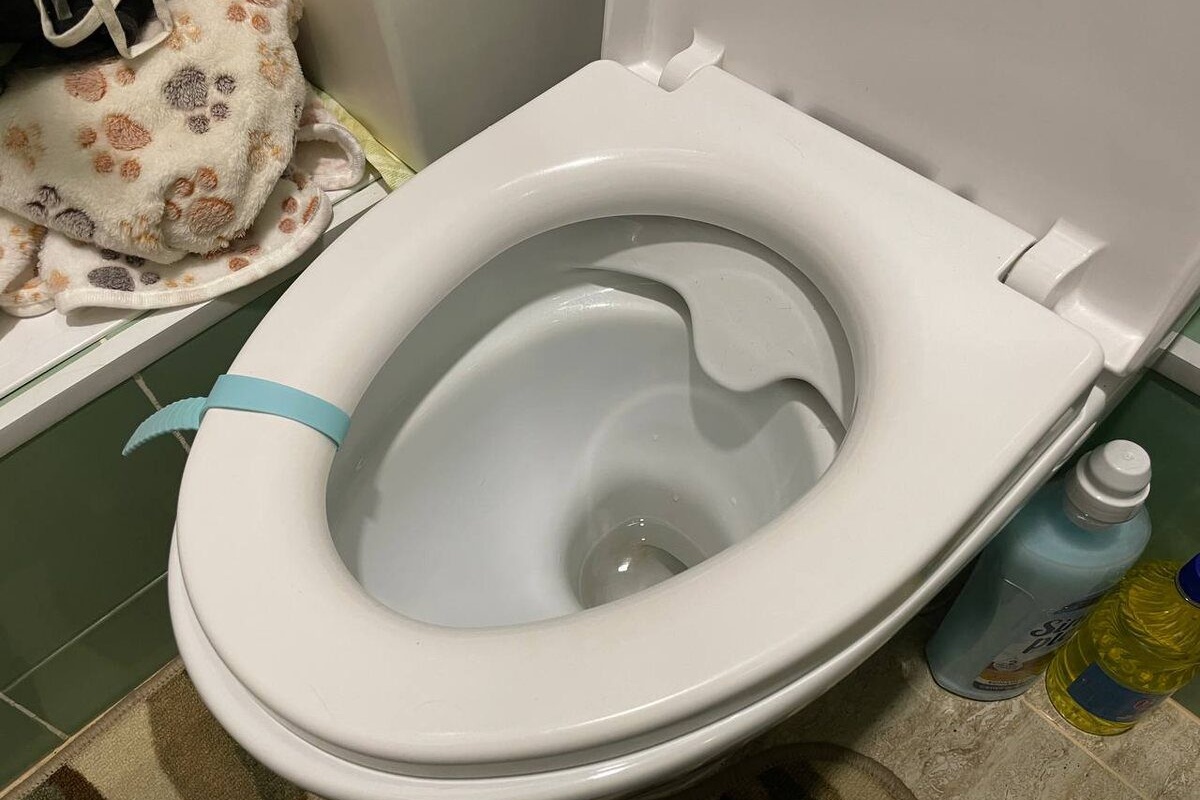 Saznala sam kako očistiti zahodsku školjku bez kemikalija – sjaj kao u hotelu s 5 zvjezdica: potreban je 1 proizvod iz kuhinje + voda detail 1