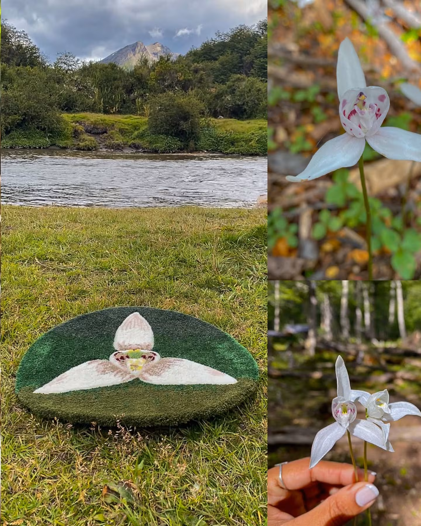 Što je tufting: tehnika kojom umjetnik s Ognjene zemlje stvara tepihe inspirirane svojim domom detail 1