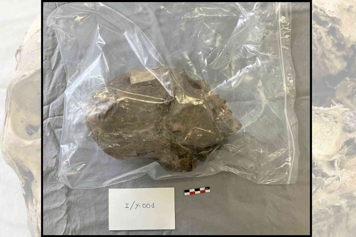 Više od stoljeća pogrešaka: znanost otkriva pravu priču o rijetkoj europskoj mumiji detail 1