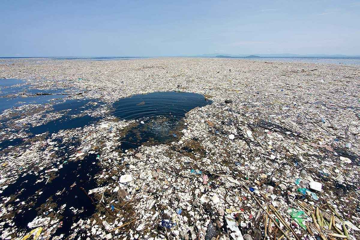 Život pronalazi put: proučavaju Veliki pacifički otok smeća i otkrivaju ono što se smatralo nemogućim detail 1