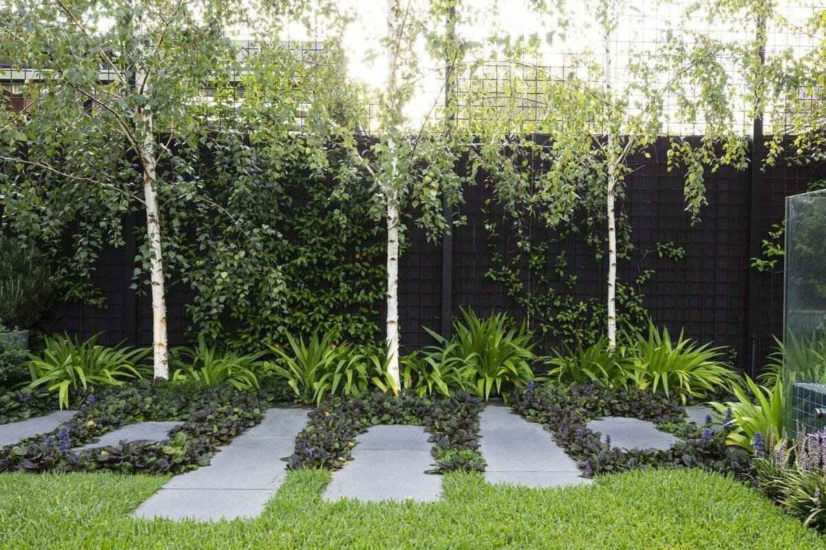 Evo 8 stabala koja mogu brzo narasti u vašem vrtu detail 1