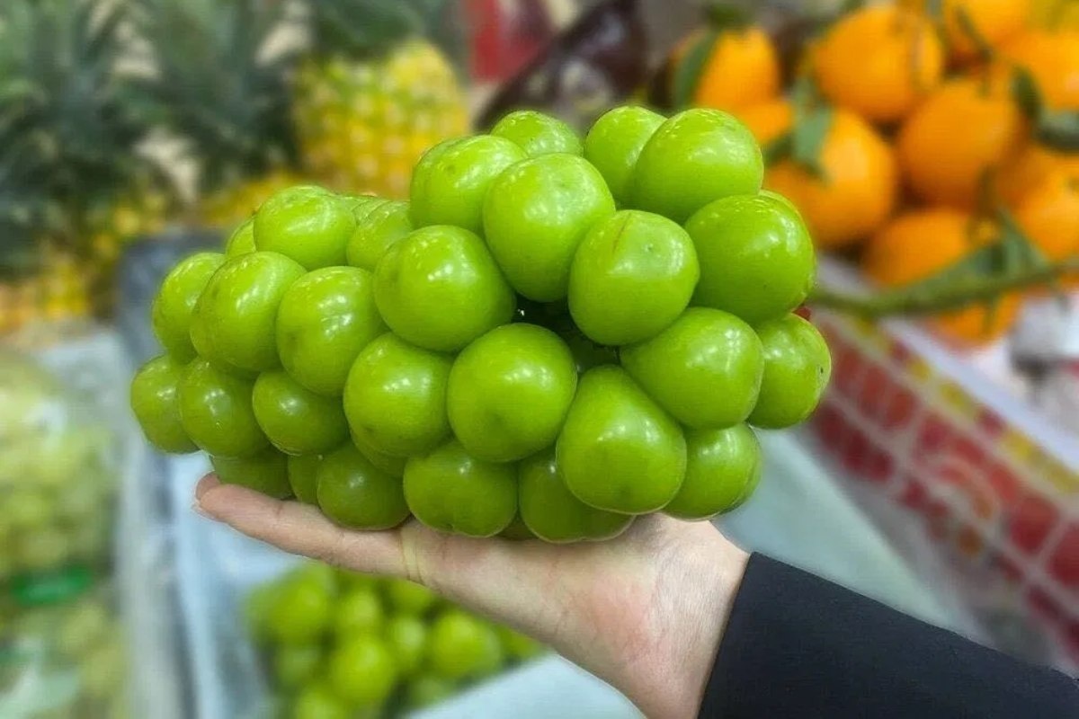 Pet trikova za odabir najboljeg grožđa za Silvestrovo: ovako se treba čuvati i poslužiti, prema savjetima trgovca voćem detail 1