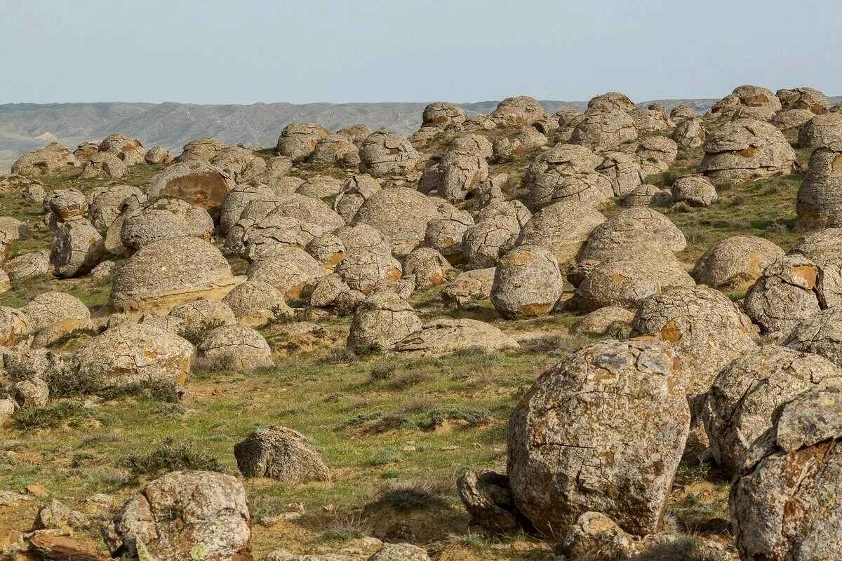 Južna Afrika pronašla „živo kamenje“ koje raste. I moglo bi riješiti jedan od najvećih svjetskih problema detail 1