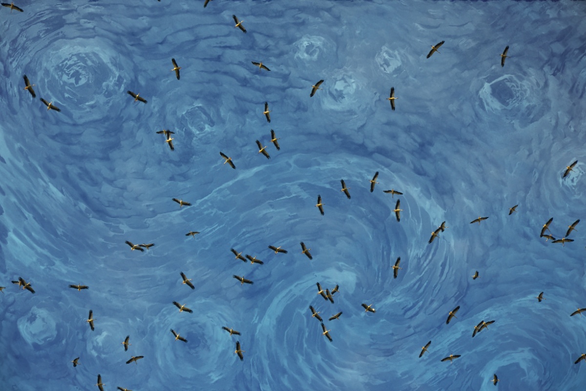 Roda s kopljem od 80 centimetara u vratu preletjela je više od 3000 km – i to je promijenilo naše predodžbe o migraciji detail 1