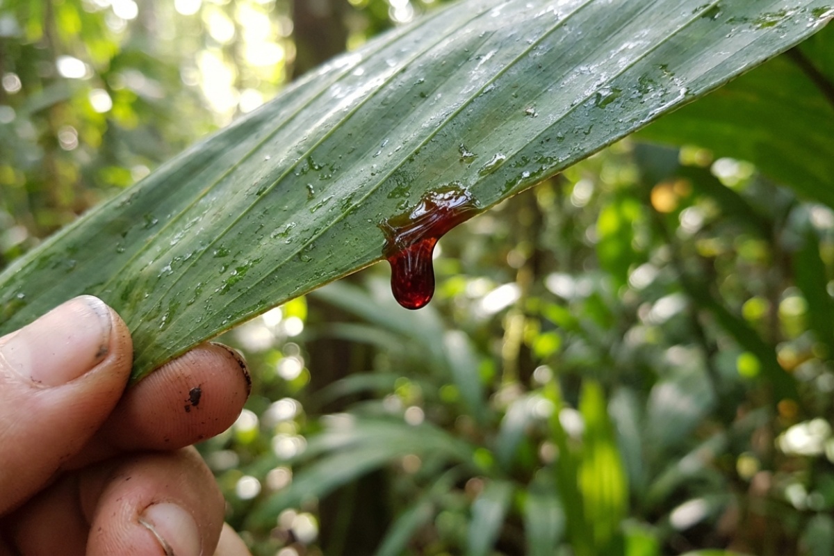 Jerónimo, stručnjak farmaceut, o tome kako zaštititi usne od hladnoće: 