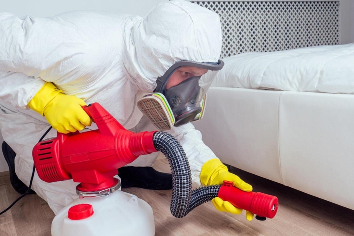 Oni mogu biti leglo stjenica. Brzo ih izbacite iz spavaće sobe. detail 2