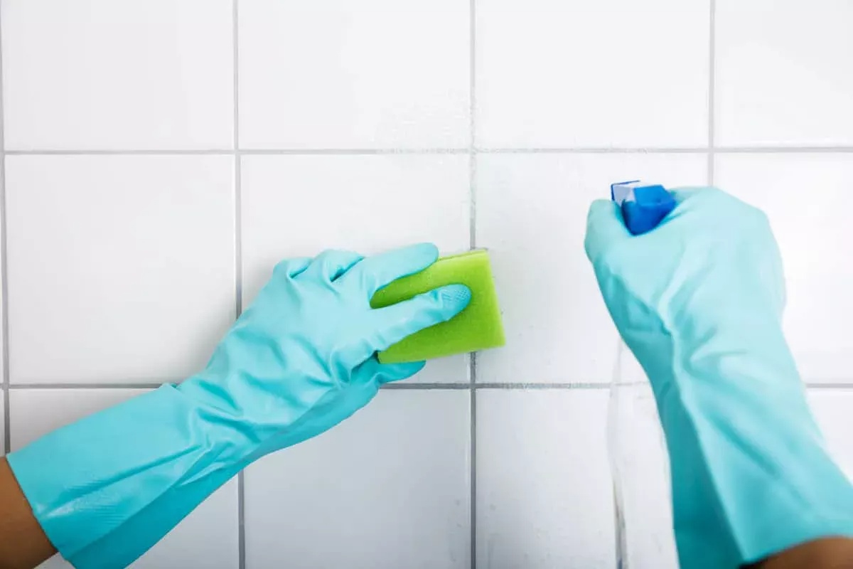 Nema Octa, Nema Amonijaka: Zapanjujući Stručni Trik Koji Uklanja Crnu Plijesan Iz Fuga – Otkrijte Tajnu Koja Spašava Vašu Kupaonicu! detail 2