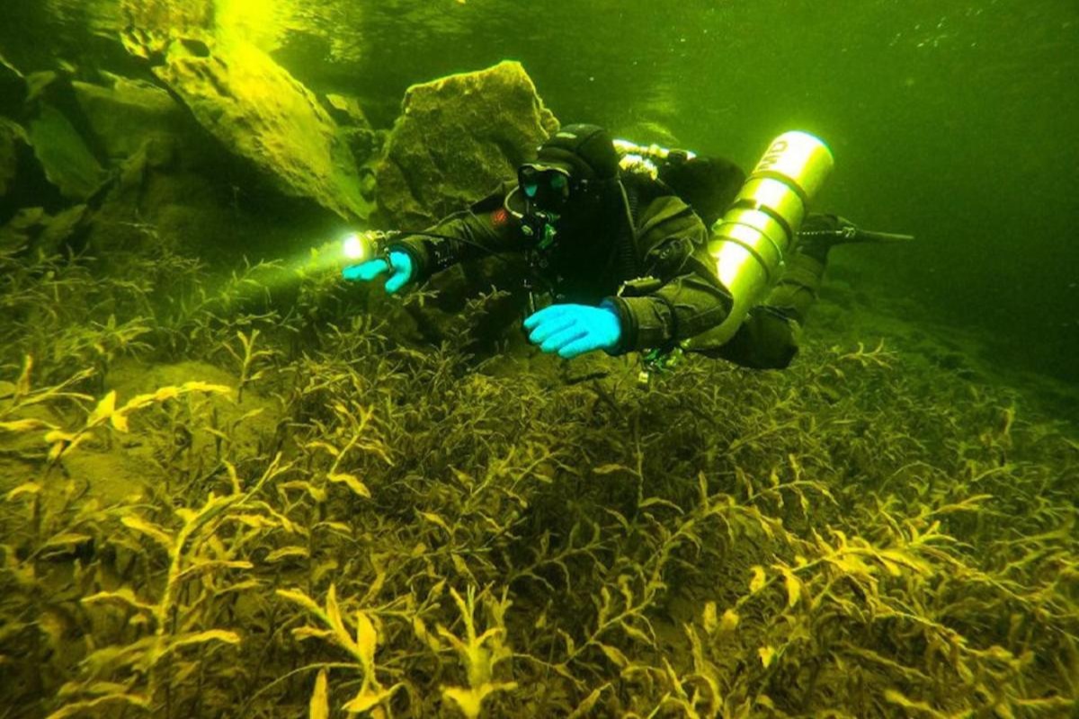 Na dnu jezera u Japanu pronađen je relikt star više od 10 000 godina koji bi mogao promijeniti povijest zemlje detail 2