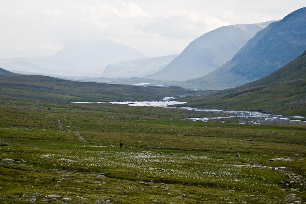 Rimska ekspanzija dovela je do sječe tako udaljenih, nepristupačnih i starih šuma sjeverno od Alpa da nikada prije nisu bile eksploatirane detail 2